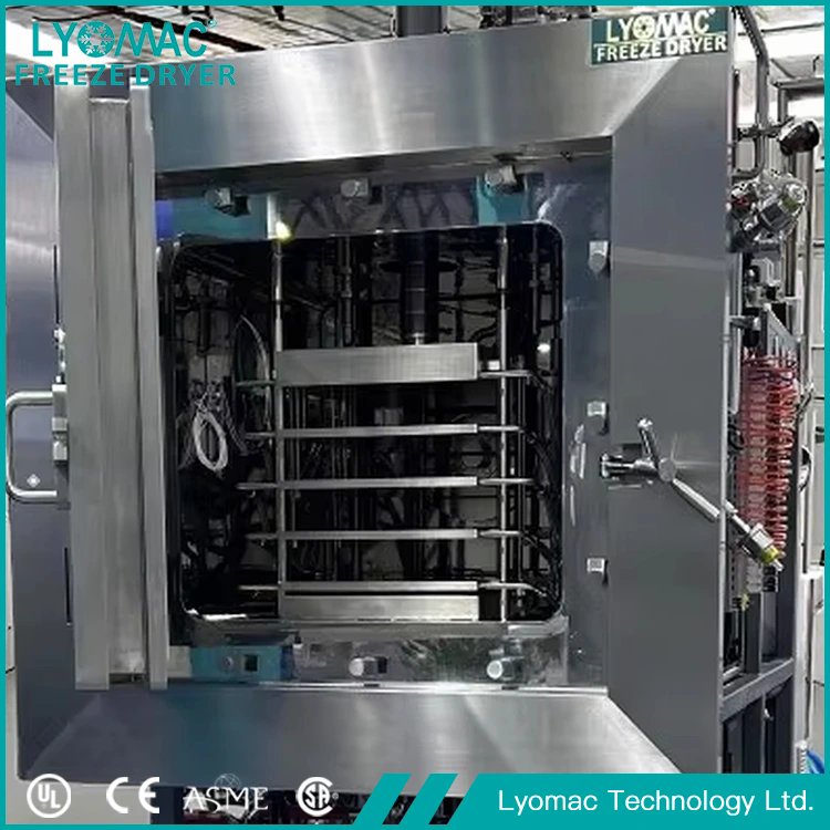 Como os liofilizadores de amostras biológicas podem melhorar a eficiência do laboratório?