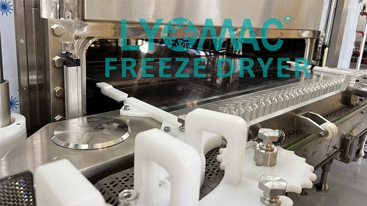 O futuro da liofilização: como a automação da Lyomac impulsiona a eficiência farmacêutica