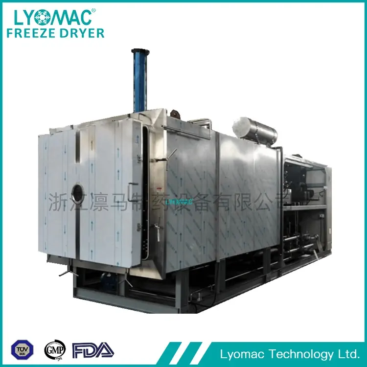 Do laboratório ao lançamento: os liofilizadores piloto da Lyomac simplificam a escalabilidade