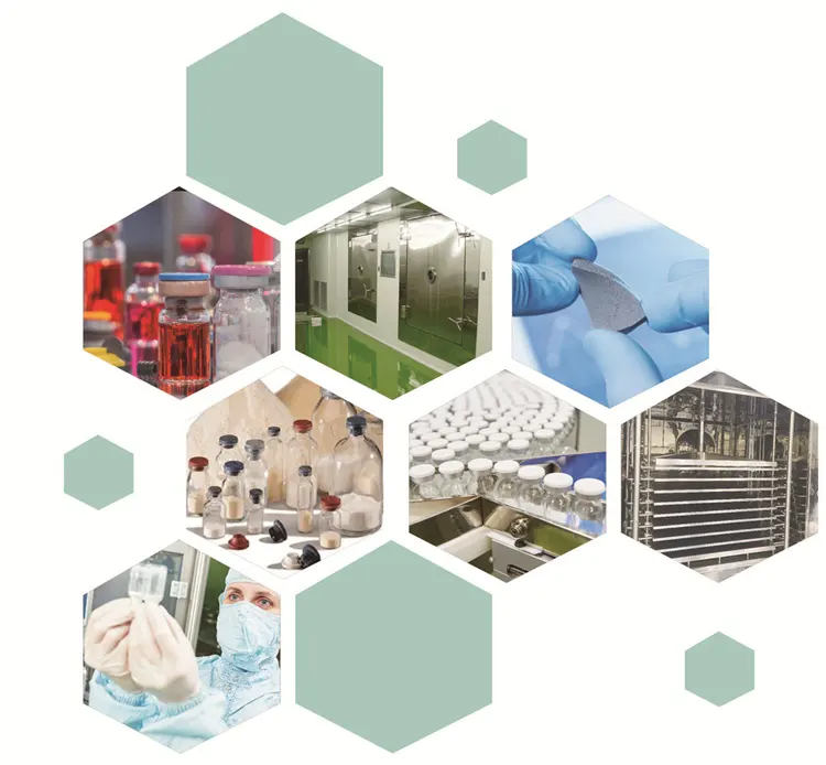 Sustentabilidade na indústria farmacêutica: soluções ecológicas de liofilização da Lyomac