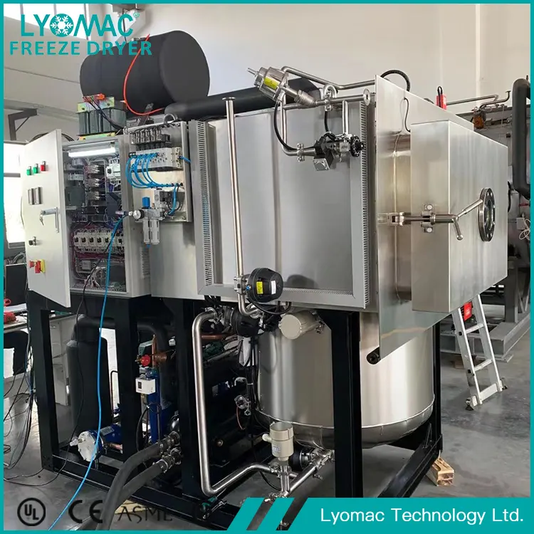 Sistemas Hidráulicos e Pneumáticos da Lyomac: O Núcleo Mecânico da Liofilização Confiável